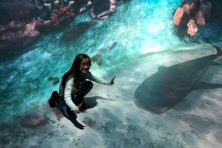 national geographic encounter ocean odyssey